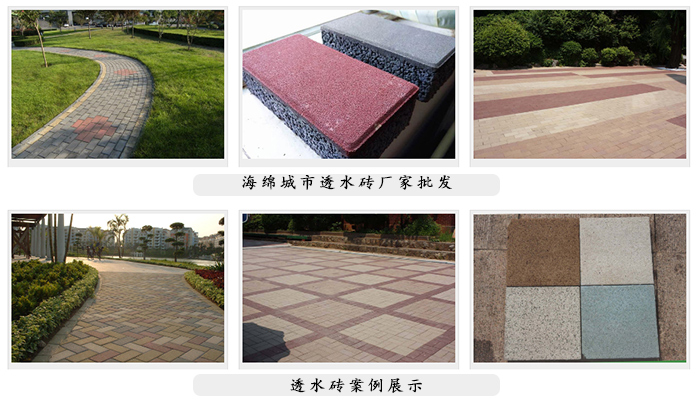 動(dòng)起來，共建“海綿城市”！